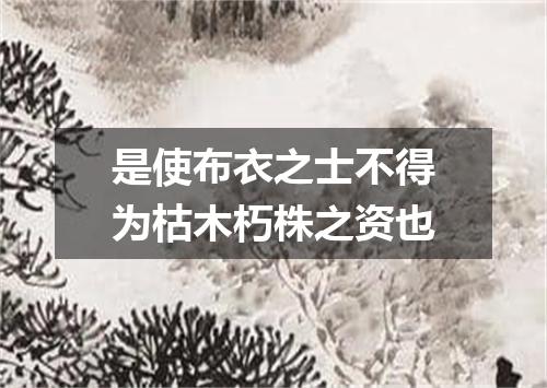 是使布衣之士不得为枯木朽株之资也