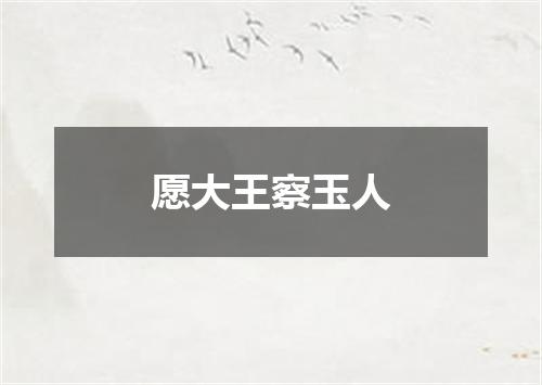 愿大王察玉人