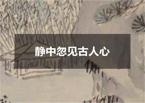 静中忽见古人心