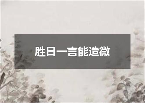 胜日一言能造微