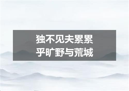 独不见夫累累乎旷野与荒城