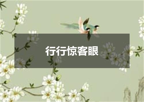 行行惊客眼