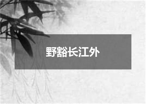 野豁长江外