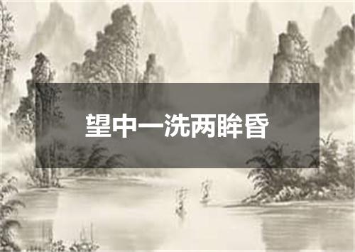 望中一洗两眸昏