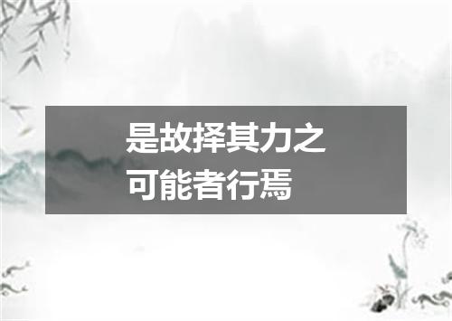 是故择其力之可能者行焉