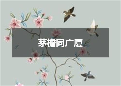 茅檐同广厦