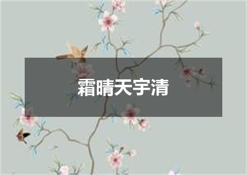 霜晴天宇清