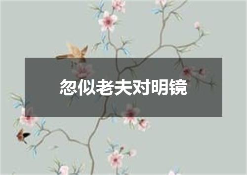 忽似老夫对明镜