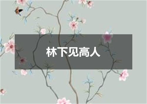 林下见高人