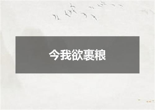 今我欲裹粮