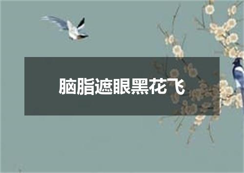 脑脂遮眼黑花飞