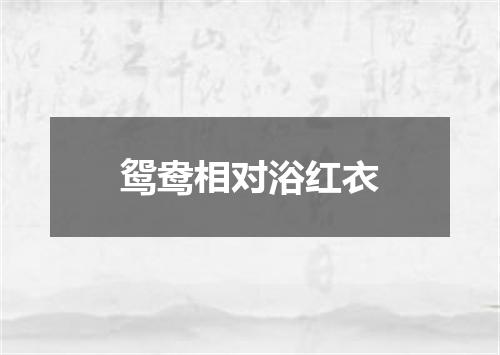 鸳鸯相对浴红衣
