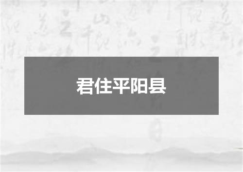 君住平阳县