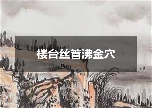 楼台丝管沸金穴