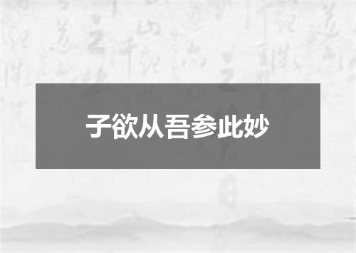 子欲从吾参此妙