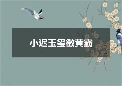 小迟玉玺徵黄霸
