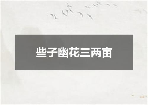 些子幽花三两亩