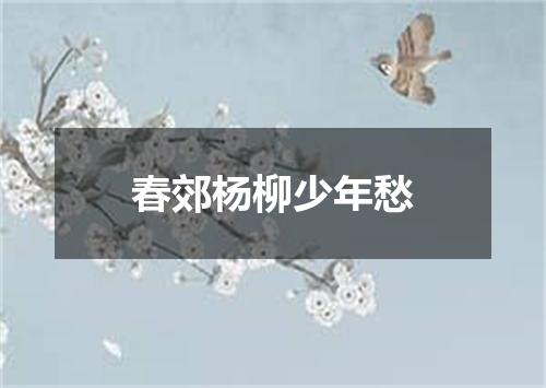 春郊杨柳少年愁