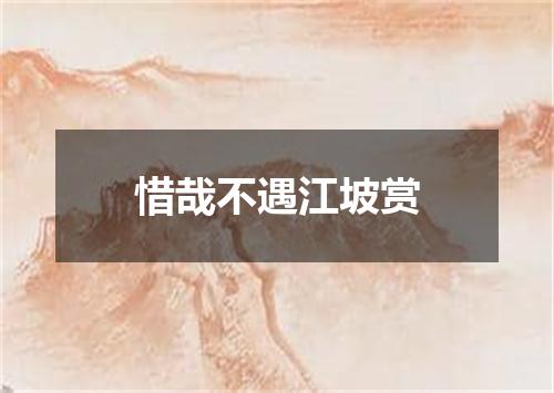 惜哉不遇江坡赏