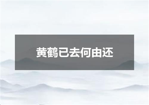 黄鹤已去何由还