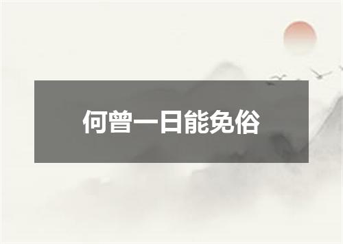 何曾一日能免俗