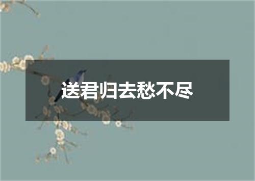送君归去愁不尽