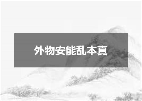 外物安能乱本真