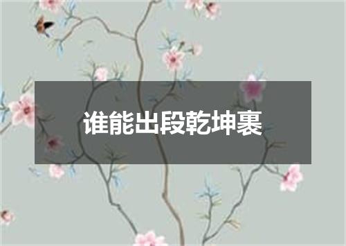 谁能出段乾坤裹
