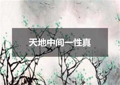 天地中间一性真