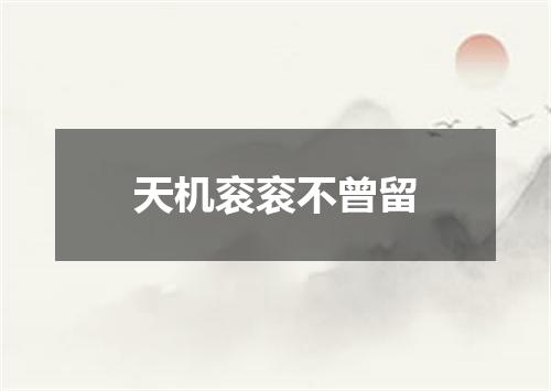 天机衮衮不曾留