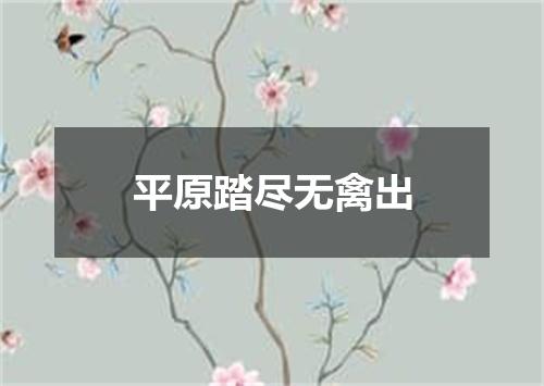 平原踏尽无禽出