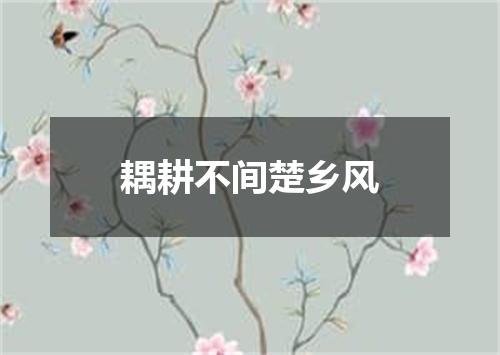 耦耕不间楚乡风