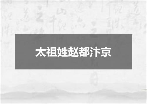 太祖姓赵都汴京