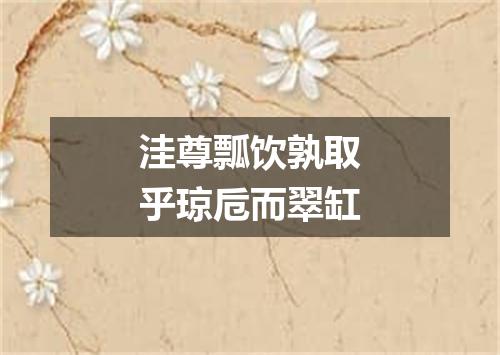 洼尊瓢饮孰取乎琼卮而翠缸