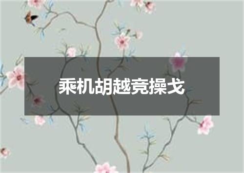 乘机胡越竞操戈