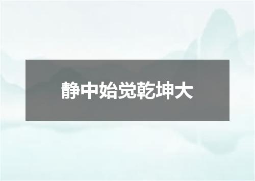静中始觉乾坤大