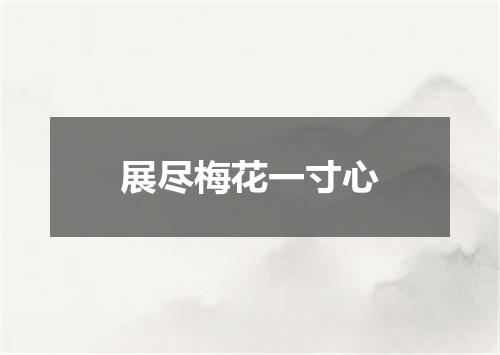 展尽梅花一寸心