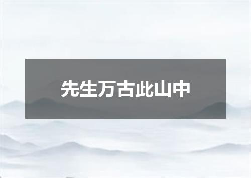 先生万古此山中