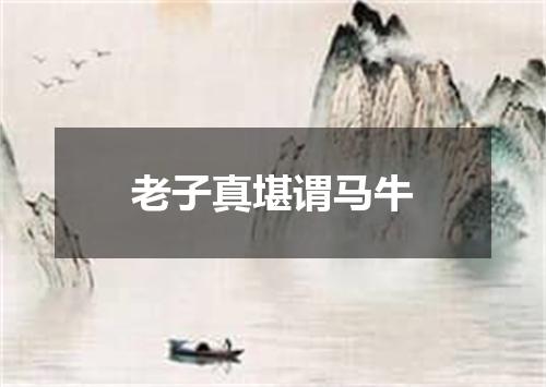 老子真堪谓马牛