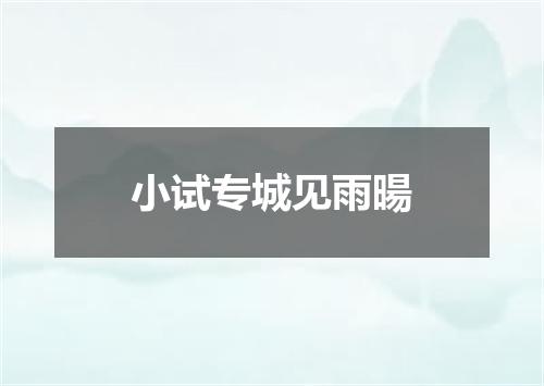 小试专城见雨暘