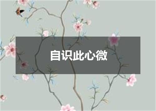 自识此心微