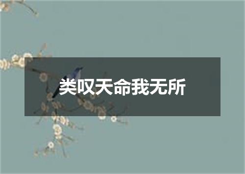 类叹天命我无所