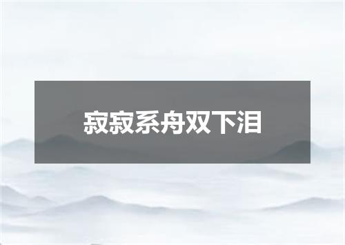 寂寂系舟双下泪