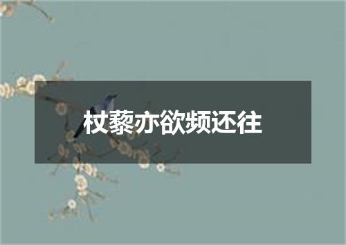 杖藜亦欲频还往