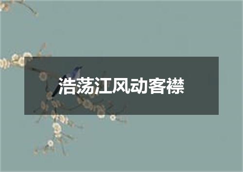 浩荡江风动客襟