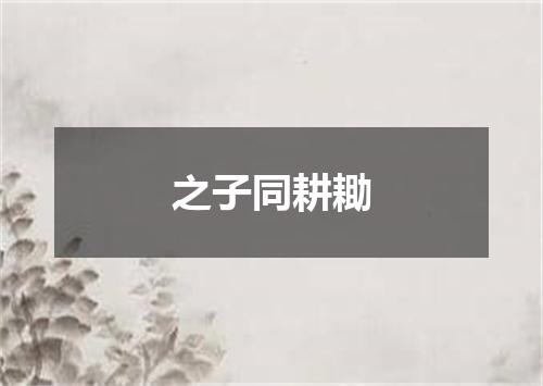 之子同耕耡