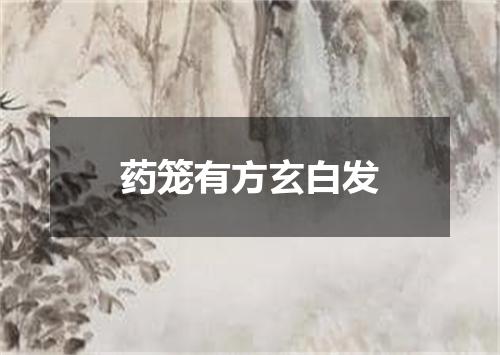 药笼有方玄白发