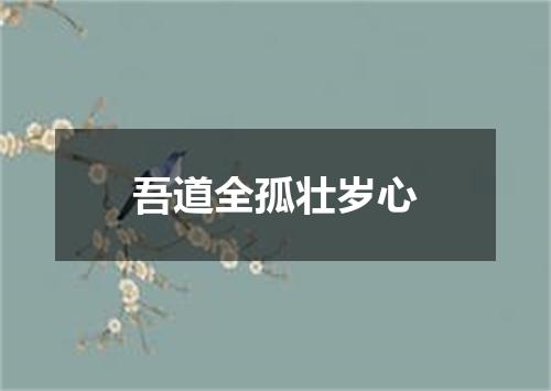 吾道全孤壮岁心