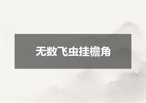 无数飞虫挂檐角