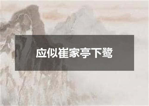 应似崔家亭下鹭